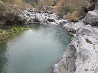 cantara gurne06-01-2014 19-26-50
